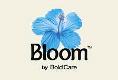 Visual representation of "Bloom" by Haldimand and Dufferin, highlighting a wellness range tailored specifically for women's health.