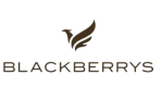 The Blackberrys logo on a clean white background, symbolizing the Blackberrys clothing line.